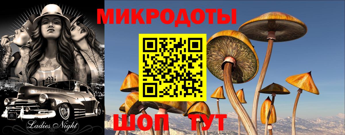 Псилоцибиновые грибы прущие грибы  Галлюциногенные грибы мухоморы  Видное  Вход с VPN 