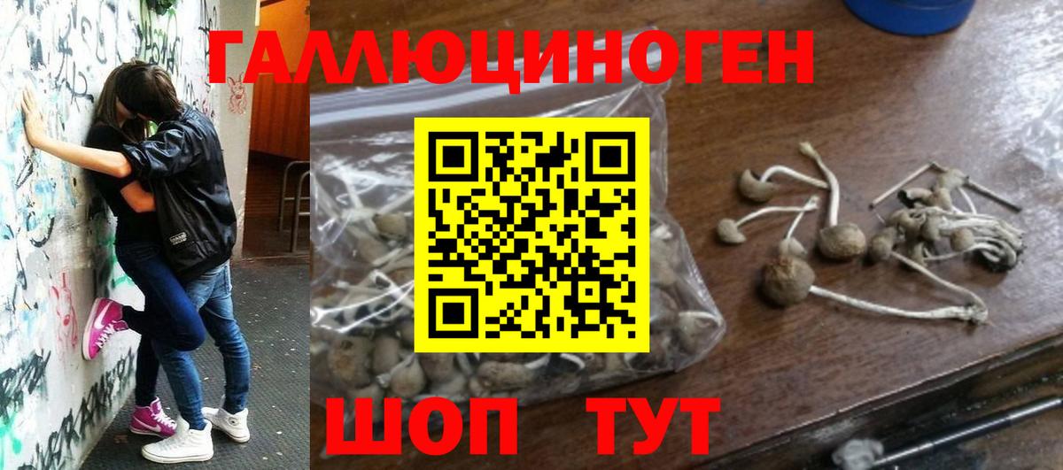 Псилоцибиновые грибы MAGIC MUSHROOMS Видное